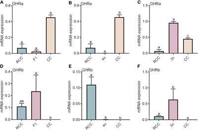 Gene expression analyses of GH/IGF axis in triploid crucian carp with growth heterosis